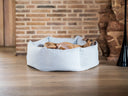 A dog looking comfortable and cool in a pale blue donut dog bed in a moderna home setting with wooden floor and exposed brick wall