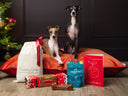Christmas Gift Bags for Dogs
