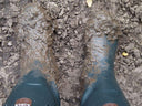 For Muddy Dogs - Charley Chau - luxury dog bedding