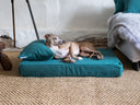 Memory Foam Dog Beds - Charley Chau - luxury dog bedding