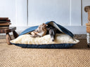 Snuggle Beds for Dogs - Charley Chau - luxury dog bedding