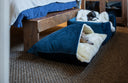 The Best Dog Beds & Dog Blankets for Cold, Wet Winter Weather - Charley Chau - luxury dog bedding
