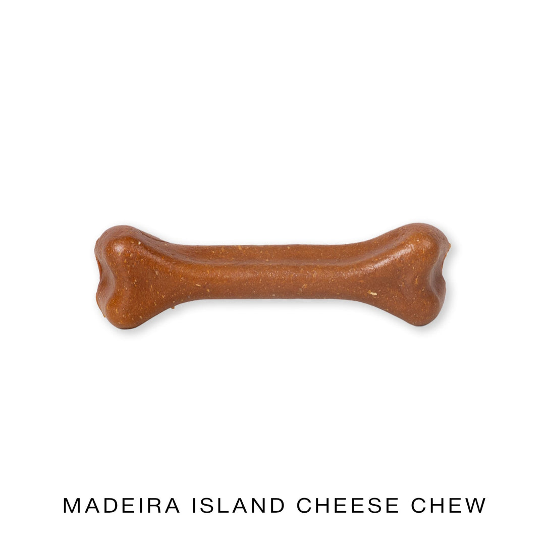 Bone-shaped dog chew treat on a white background with 'Madeira Island Cheese Chew' text.