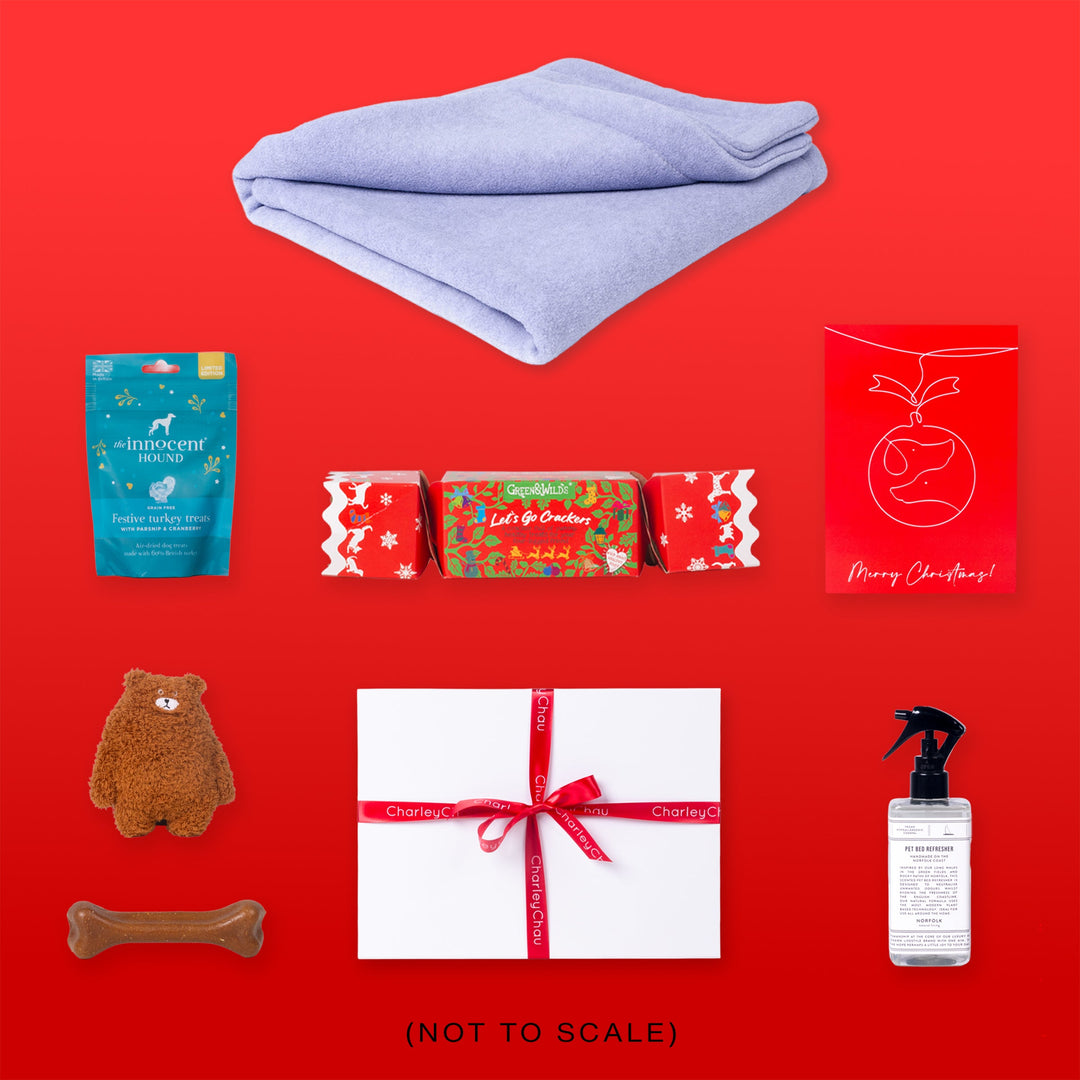 Luxury Dog Christmas Hamper - Double Fleece Blanket Edition