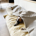 Dog lying in an off white cave bed style snuggle dog bed in a modern living room.