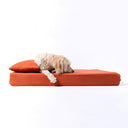 Side view of a Labradoodle dog lying very comfortable on an orange orthopaedic memory foam dog bed mattress with a small orange cusion on top of the mattress on a white backdrop.