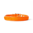 Brightside Classic Slim Dog Collar by Holly&Lil - Charley Chau - luxury dog bedding