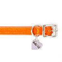 Brightside Classic Slim Dog Collar by Holly&Lil - Charley Chau - luxury dog bedding