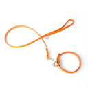 Brightside Classic Slim Dog Collar by Holly&Lil - Charley Chau - luxury dog bedding