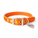 Brightside Classic Slim Dog Collar by Holly&Lil - Charley Chau - luxury dog bedding
