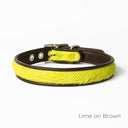 Brightside Classic Slim Dog Collar by Holly&Lil - Charley Chau - luxury dog bedding