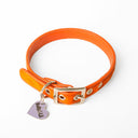 Brightside Classic Slim Dog Collar by Holly&Lil - Charley Chau - luxury dog bedding