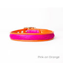 Brightside Classic Slim Dog Collar by Holly&Lil - Charley Chau - luxury dog bedding