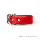 Brightside Classic Wide Dog Collar by Holly&Lil - Charley Chau - luxury dog bedding