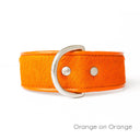Brightside Classic Wide Dog Collar by Holly&Lil - Charley Chau - luxury dog bedding
