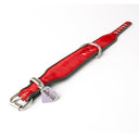 Brightside Classic Wide Dog Collar by Holly&Lil - Charley Chau - luxury dog bedding