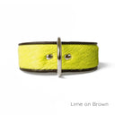 Brightside Classic Wide Dog Collar by Holly&Lil - Charley Chau - luxury dog bedding