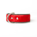 Brightside Classic Wide Dog Collar by Holly&Lil - Charley Chau - luxury dog bedding