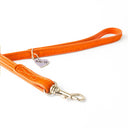 Brightside Dog Leads by Holly&Lil - Charley Chau - luxury dog bedding