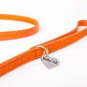 Brightside Dog Leads by Holly&Lil - Charley Chau - luxury dog bedding