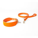 Brightside Sighthound Collar by Holly&Lil - Charley Chau - luxury dog bedding