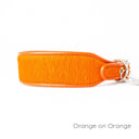 Brightside Sighthound Collar by Holly&Lil - Charley Chau - luxury dog bedding