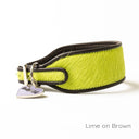 Brightside Sighthound Collar by Holly&Lil - Charley Chau - luxury dog bedding
