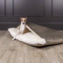 A dog sitting inside a sleeping bag style dog bed, the luxury Dog Burrow Bag by Charley Chau, with brown velvet outer cover and plush cream faux-fur lining interior in a home setting with a wooden floor and dark panelled wooden wall.