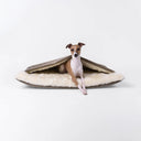 A dog sitting insde a sleeping snuggle bag style luxury Dog Burrow Bag with brown velvet outer cover and plush cream faux-fur lining on a white backdrop.