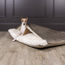 A dog sitting inside a sleeping bag style dog bed, the luxury Dog Burrow Bag by Charley Chau, with brown velvet outer cover and plush cream faux-fur lining interior in a home setting with a wooden floor and dark panelled wooden wall.