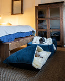 Two dogs in dark blue velvet dog beds in a bedroom setting with wooden furniture and a bed in the background.
