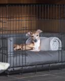 Dog lying in a metal dog crate on a grey dog bed cushion and soft bed bumpers around the side of the crate, with a pale oyster colour fleece blanket rolled up.
