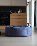 Fawn Italian Greyhound dog lying in a dark grey-blue high-wall dog bed with deep, cosy sides and the head poking up above the sides of the bed in a modern kitchen setting with wood floor.