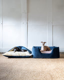 Two dogs lying in in blue pet beds on a carpeted floor with white walls. One dog bed is a cave bed style Snuggle Dog Bed. The other pet bed is a high-wall dog bed.
