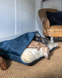 two italian greyhound dogs sleeping inside a snuggle dog bed with a stitched in blanket top.