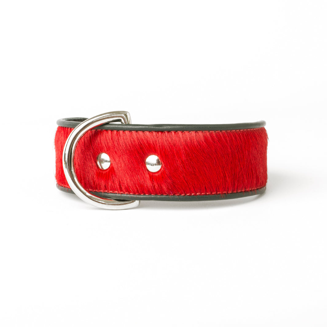Holly&Lil Brightside Classic Wide Dog Collar