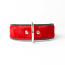 Holly&Lil Brightside Classic Wide Dog Collar