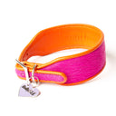 Holly&Lil Brightside Sighthound Dog Collar