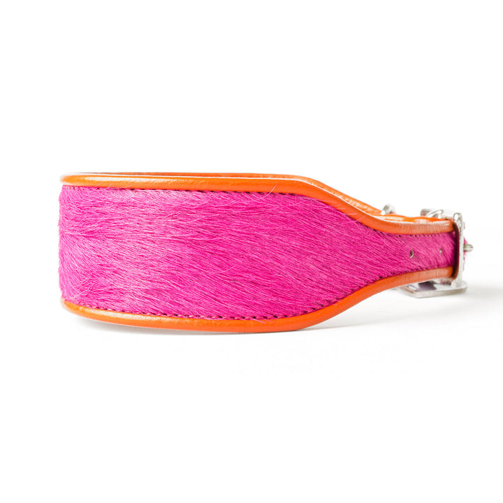 Holly&Lil Brightside Sighthound Dog Collar