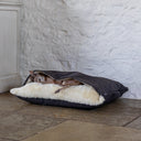 Italian Greyhound dog sleeping  in a cosy cave bed style dog snuggle bed with a dark brown outer cover and cream soft faux-fur lining inside on a stone floor with a white stone wall in the background.