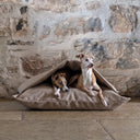 Two Italian Greyhound dogs lying in a dog cave bed style Snuggle Bed with a stitched in cover by British specialist designers Charley Chau, in a biege upholstery quality fabric against a stone wall on a stone floor. 