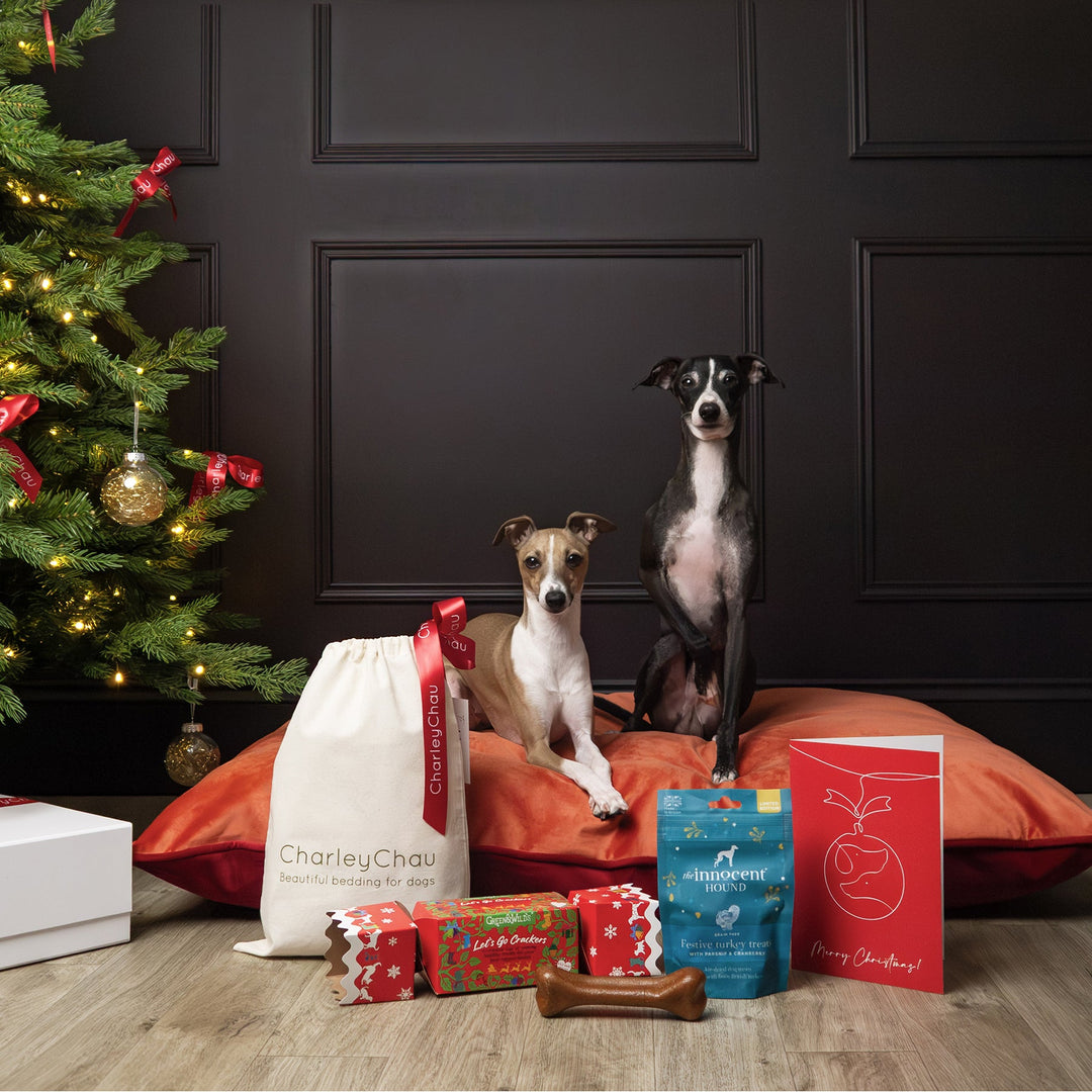 Two Italian Greyhound dogs sitting on a red and orange velvet dog bed mattress next to a Christmas Gift Bag with dog treats and a decorated christmas tree in a room with dark paneled walls.