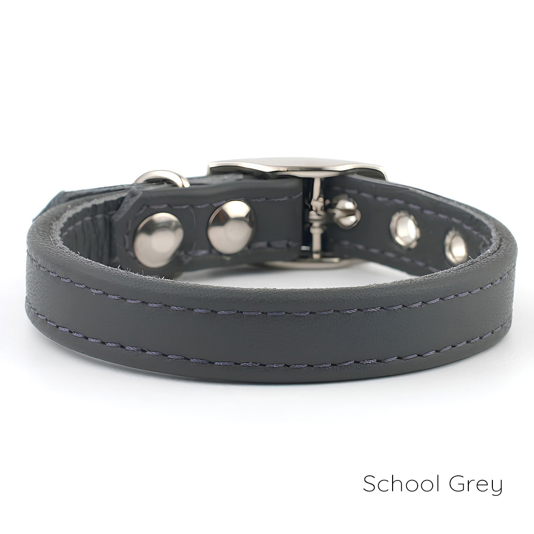 Grey puppy collar clearance