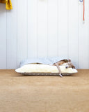 Dog lying in a sleeping bag style dog bed, the Charley Chau Snuggle Bed, against a white paneled wall.