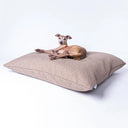 Stretch out mattress with no sides