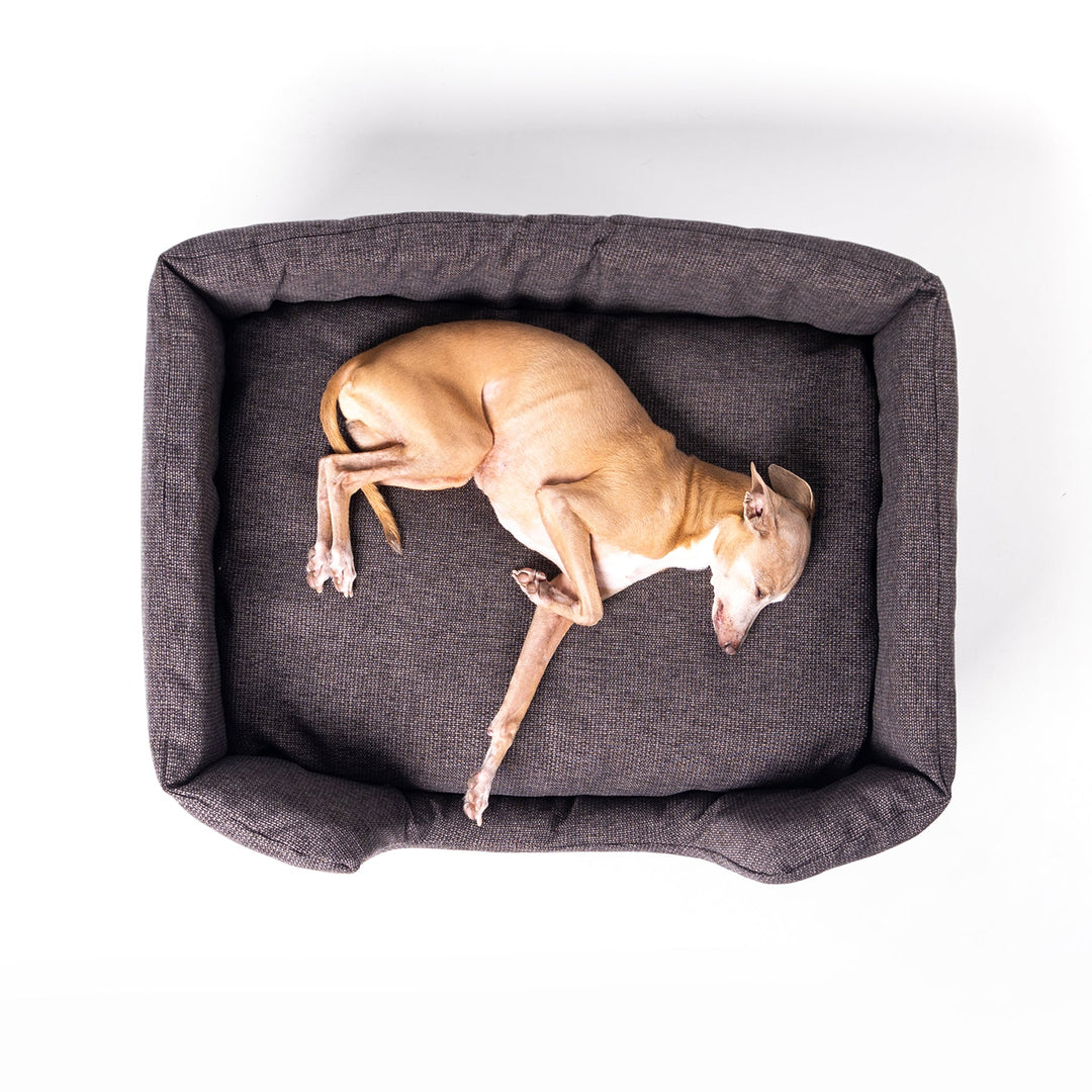 Machine washable, luxury high-wall dog bed - the Deeply Dishy Bed in Earth 