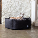 Italian Greyhound dog lying in a cosy and luxurious dark brown donut dog bed against a white stone wall on a stone floor.