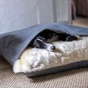 Close up of a black and white Italian Greyhound dog sleeping cosy inside a grey luxury cave bed style Dog Snuggle Bed with a plush cream faux-fur fleece lining.