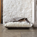 Italian Greyhound dog lying inside a cozy cave dog bed style Snuggle Bed with a stitched-in cover with a pale brown taupe outer cover in velvet and a plush fluffy cream faux-fur lining on a stone floor against a white stone wall