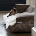 Italian Greyhound dog skeeping inside a cozy cave dog bed style Snuggle Bed with its head poking out of the cover. The outer cover of the Snuggle Bed is a taupe brown velour and the inside is a cream, plush faux-fur lining.